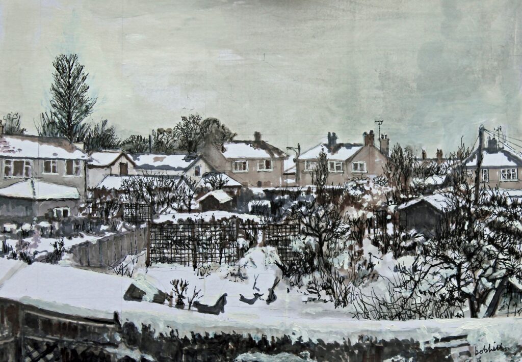 Snow Scene, Rear Gardens, Buckley